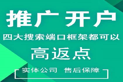 sem代运营机构经典案例：提升广告投放效果